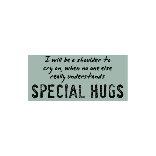 Watchover Voodoo Doll - Special Hugs & The Superstar