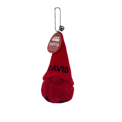 Personalized Lucky Gnome