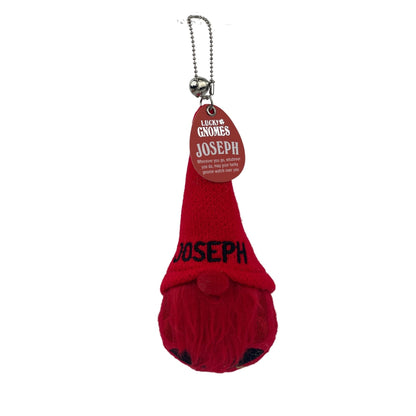 Personalized Lucky Gnome