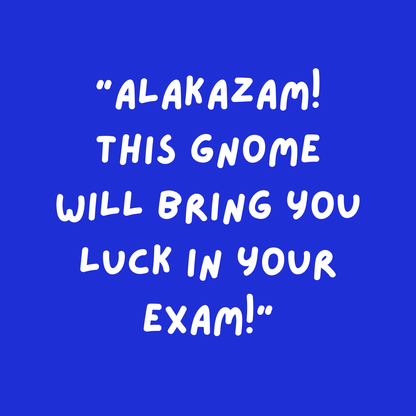 Lucky Gnome - Exam Passer (Grey)